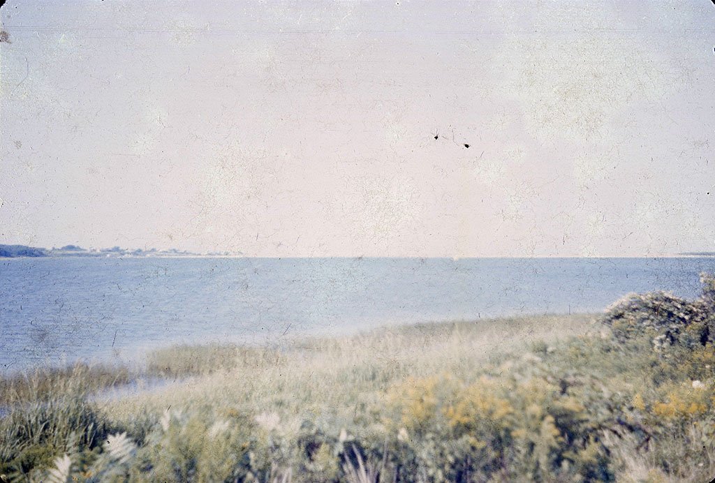 scan1405190014.jpg