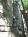 _3452_small.jpg