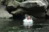 dsc_7532_small.jpg