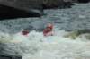 dsc_7556_small.jpg